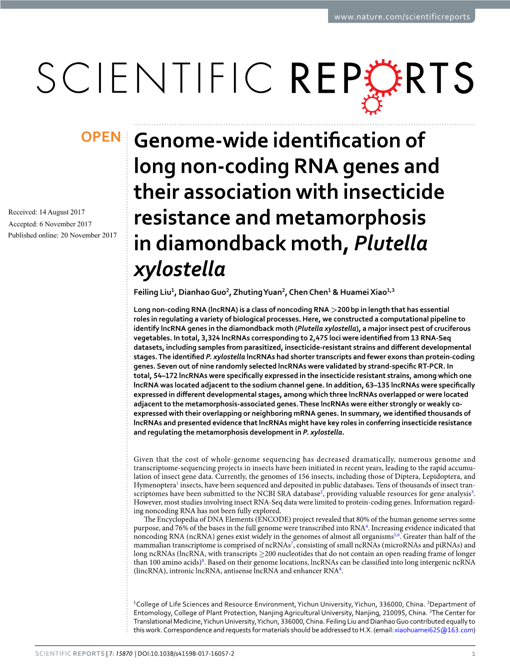 Genome-Wide Identification of Long Non-Coding RNA Genes and Their
