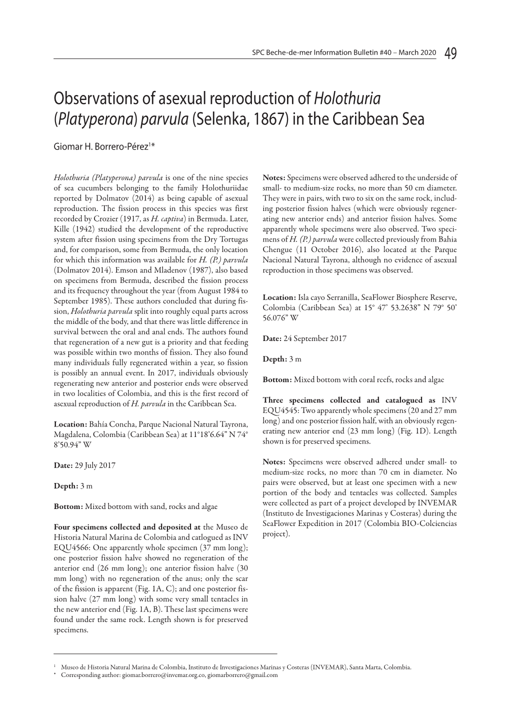 Observations of Asexual Reproduction of <Em>Holothuria (Platyperona) Parvula </Em>(Selenka, 1867) in the Caribbean S