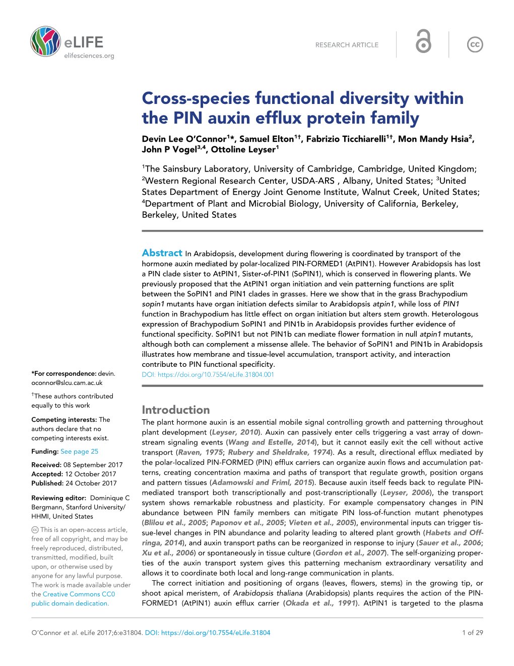 Cross-Species Functional Diversity Within the PIN Auxin Efflux Protein