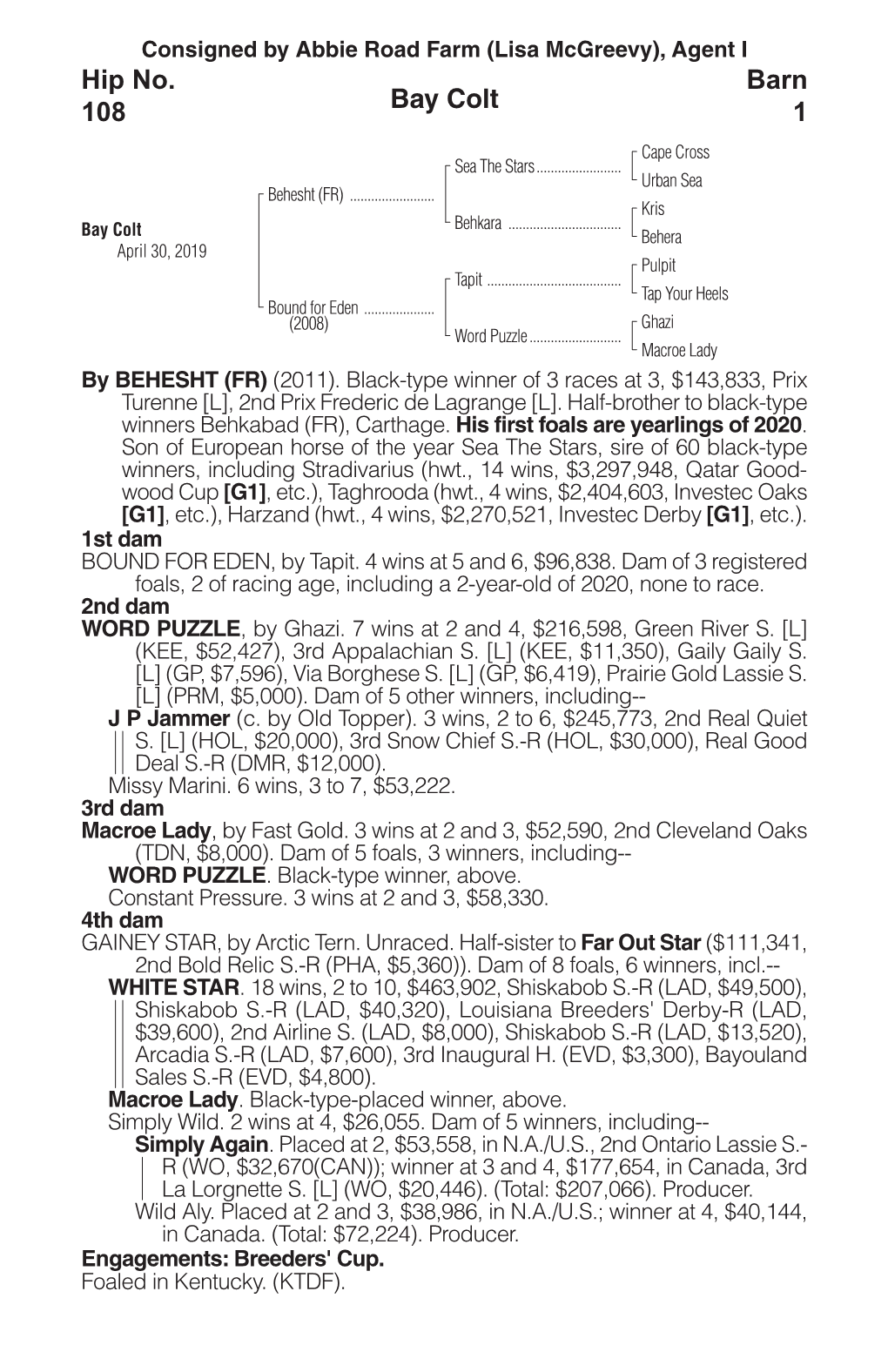 Bay Colt Barn 1 Hip No