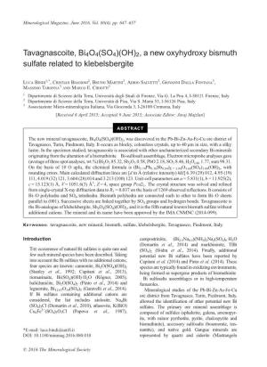 Tavagnascoite, Bi4o4(SO4)(OH)2, a New Oxyhydroxy Bismuth Sulfate Related to Klebelsbergite