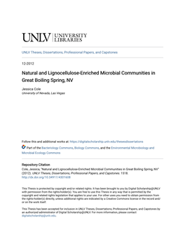 Natural and Lignocellulose-Enriched Microbial Communities in Great Boiling Spring, NV