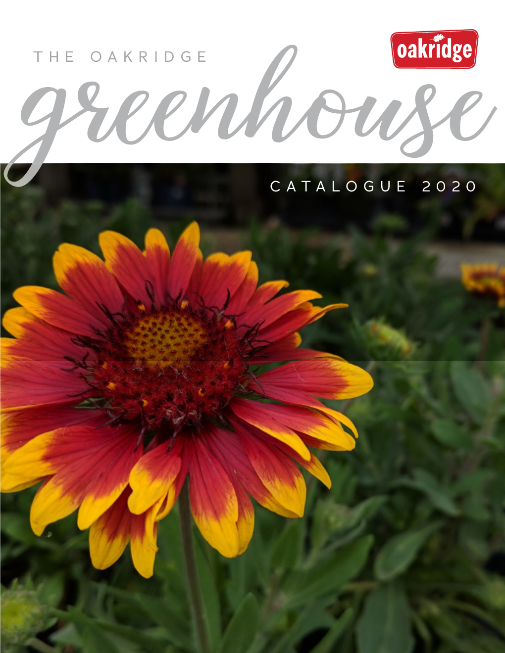 Greenhousecatalogue 2020 Contents