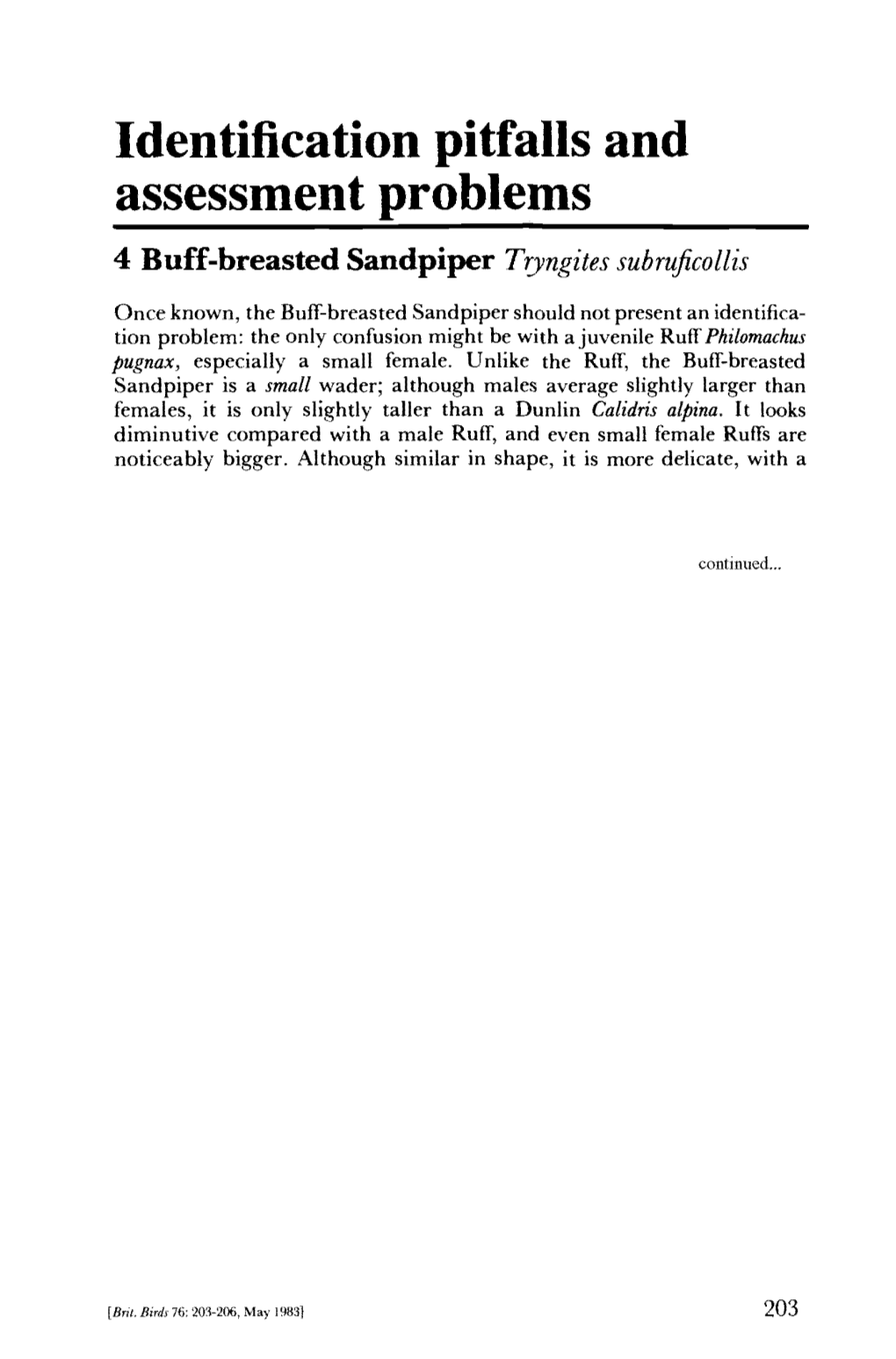 Identification Pitfalls and Assessment Problems 4 Buff-Breasted Sandpiper Tryngites Subruficollis