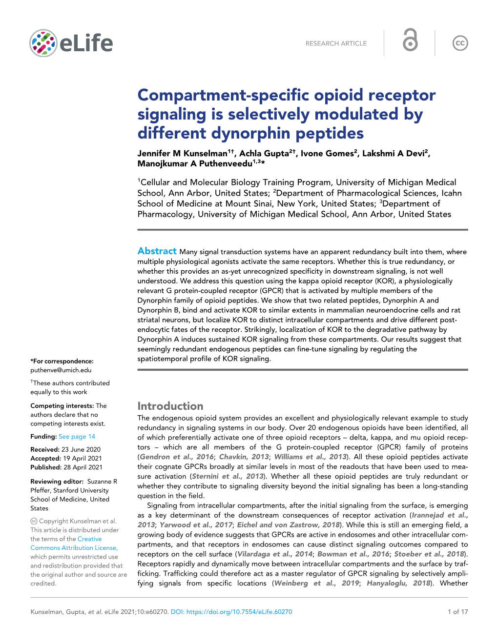 Compartment-Specific Opioid Receptor Signaling Is Selectively Modulated by Different Dynorphin Peptides