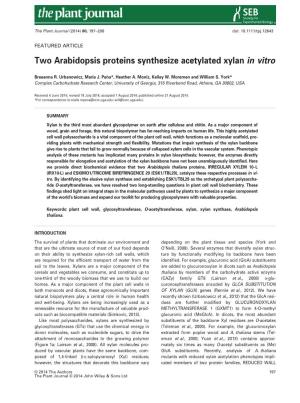 Two Arabidopsis Proteins Synthesize Acetylated Xylan Invitro