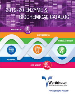 2019-20 Enzyme & Biochemical Catalog