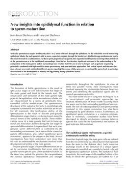 New Insights Into Epididymal Function in Relation to Sperm Maturation