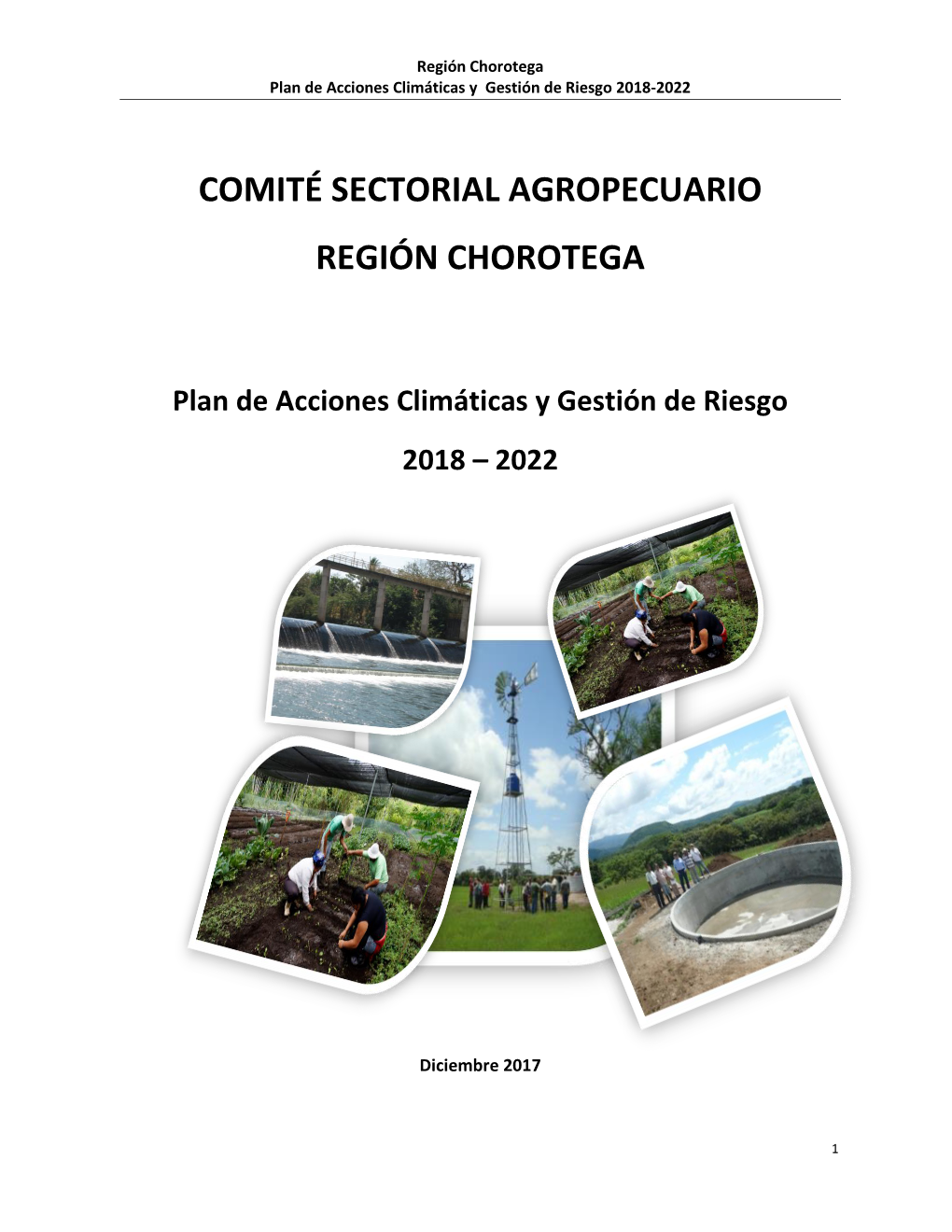 Comité Sectorial Agropecuario Región Chorotega