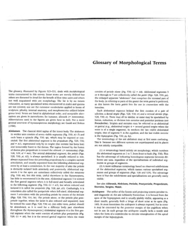 Glossary of Morphological Terms \ 1 L I