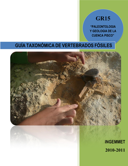 Guía Taxonómica De Vertebrados Fósiles Gr15