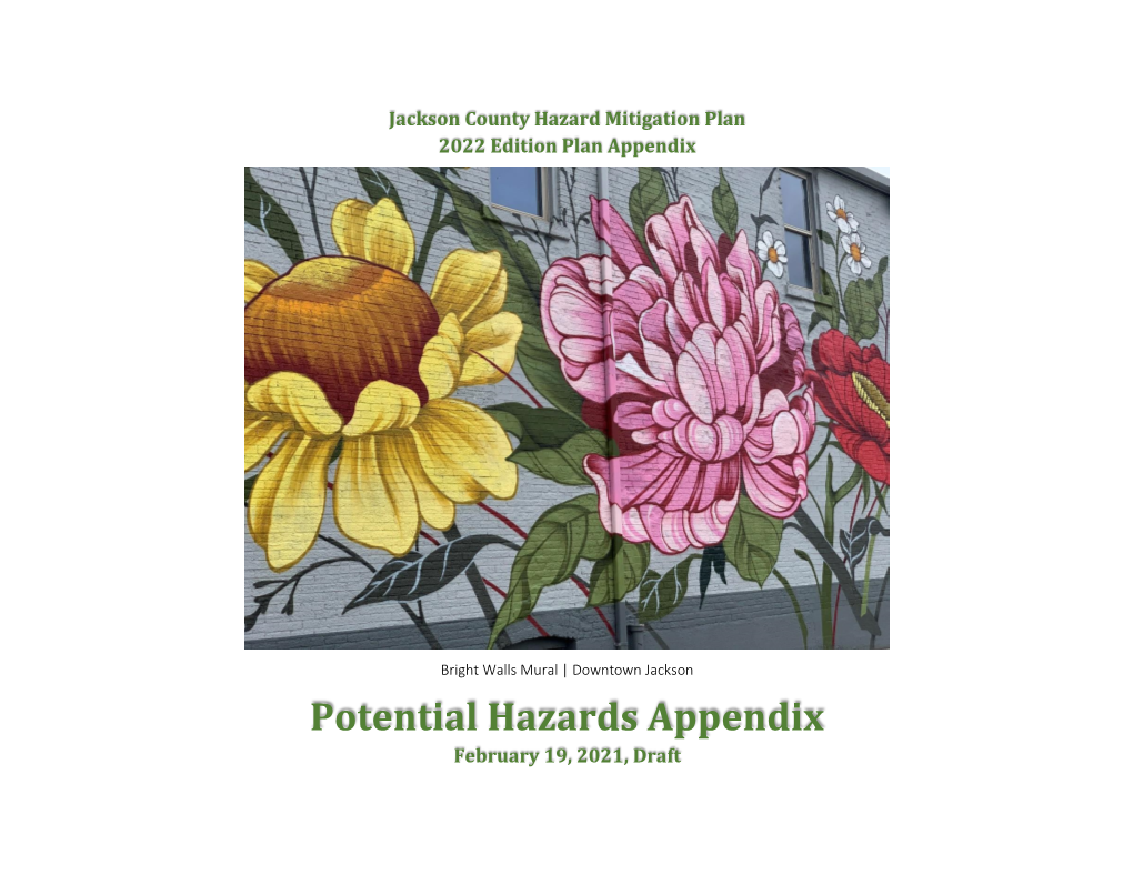 Potential Hazards Appendix February 19, 2021, Draft JCHMP Appendix a | Potential Hazards