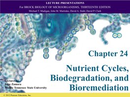 Nutrient Cycles, Biodegradation, and Bioremediation