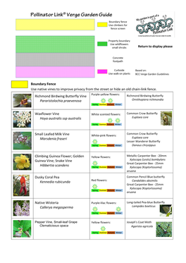 Verge Garden Guidelines