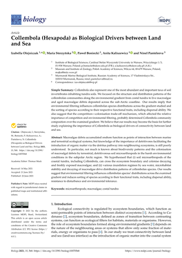 Collembola (Hexapoda) As Biological Drivers Between Land and Sea