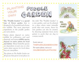 The “Puddle Garden” Is a Special Type of Flower Garden That Is Designed to Be Beautiful and a Home for Wildlife. the Most Im