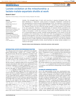 A Lactate-Malate-Aspartate Shuttle at Work