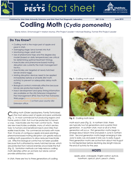 Codling Moth (Laspeyresia Pomonella)