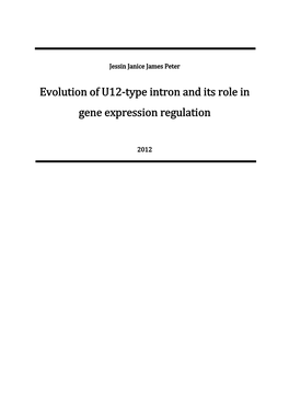 Evolution of U12-Type Intron and Its Role in Gene Expression Regulation