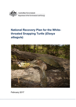 Draft National Recovery Plan for the White-Throated Snapping Turtle