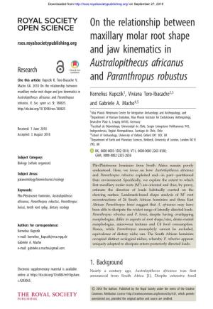 Australopithecus Africanus Research