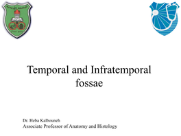 Temporal and Infratemporal Fossae 1 and 2