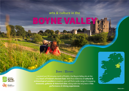 Boyne Valley Arts and Culture