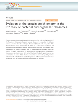 Evolution of the Protein Stoichiometry in the L12 Stalk of Bacterial and Organellar Ribosomes