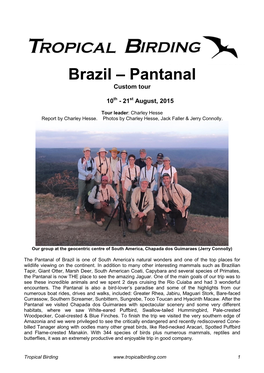 Brazil – Pantanal Custom Tour