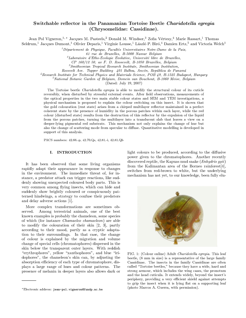 Switchable Reflector in the Panamanian Tortoise Beetle Charidotella ...