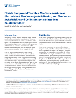 Florida Dampwood Termites, Neotermes Castaneus