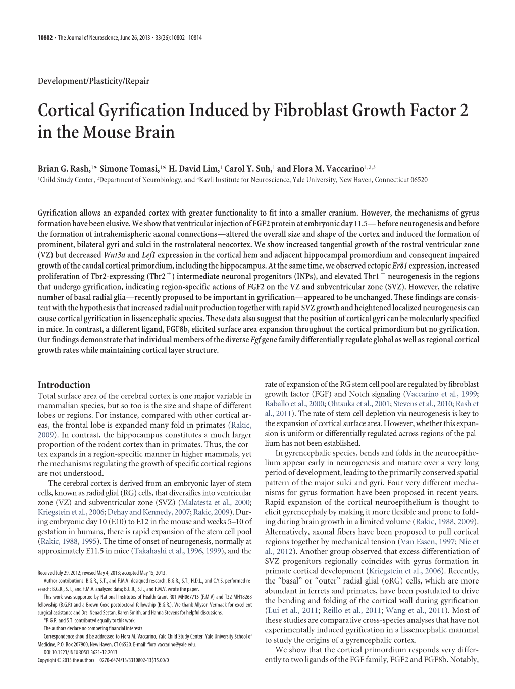 Cortical Gyrification Induced by Fibroblast Growth Factor 2 in the Mouse Brain