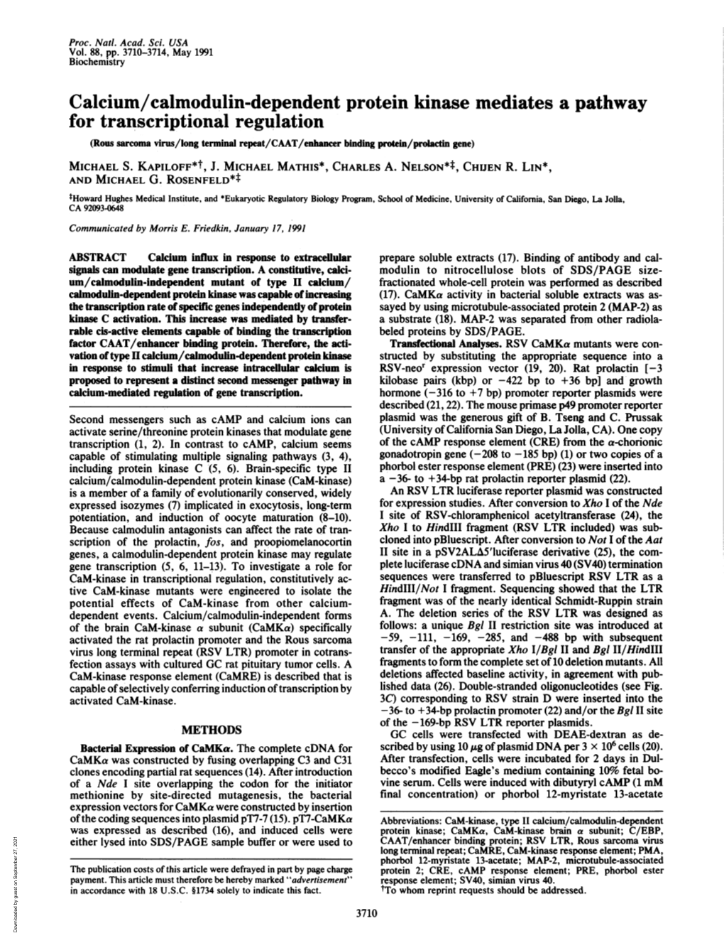 Calcium/Calmodulin-Dependent Protein Kinase Mediates a Pathway for Transcriptional Regulation