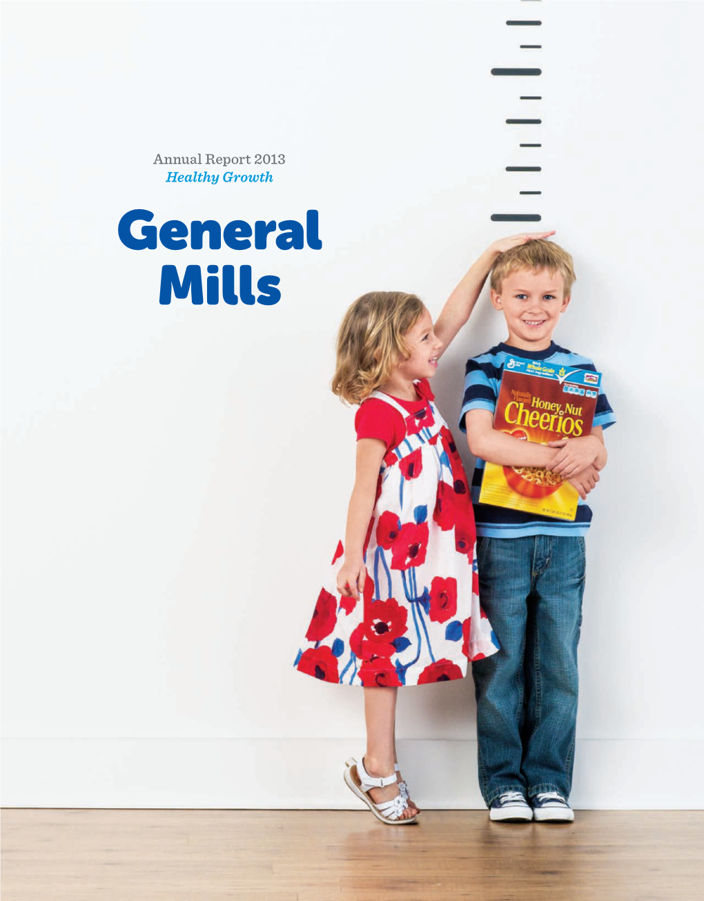 General Mills Annual Report 2013