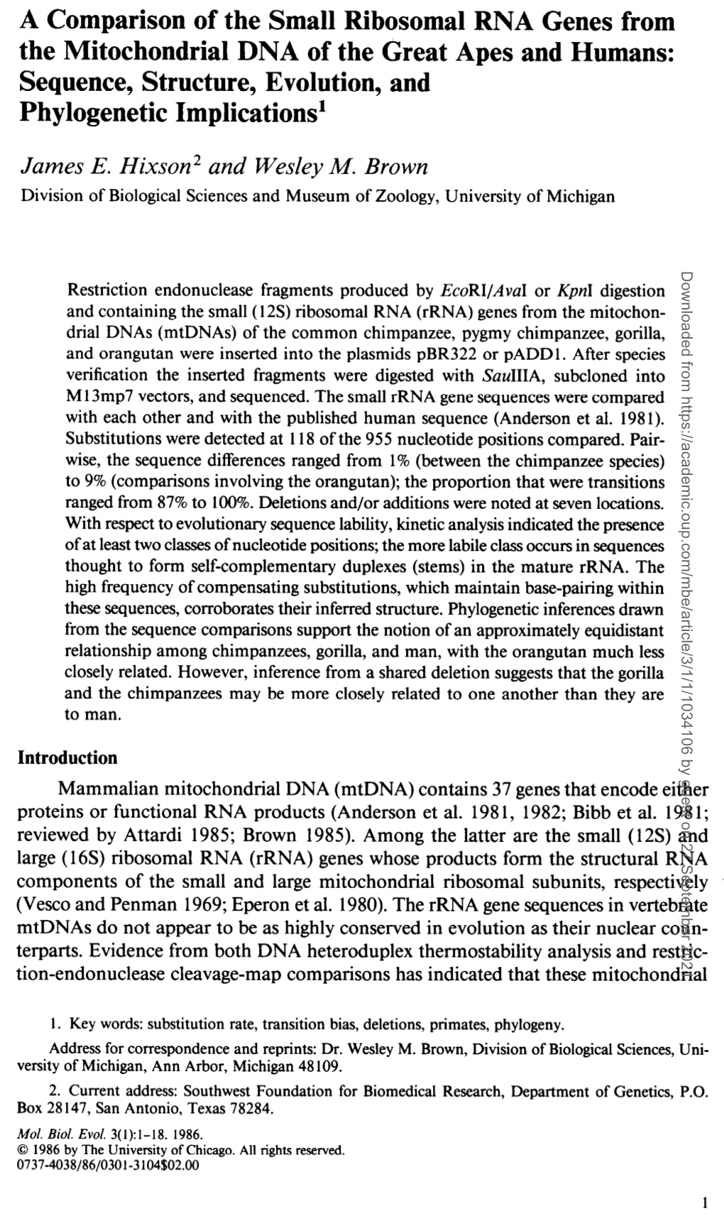 A Comparison of the Small Ribosomal RNA Genes from the Mitochondrial DNA of the Great Apes and Humans: Sequence, Structure, Evolution, and Phylogenetic Implications