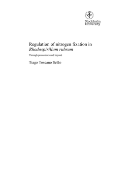 Regulation of Nitrogen Fixation in Rhodospirillum Rubrum Through Proteomics and Beyond