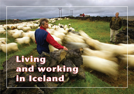 Living and Working in Iceland