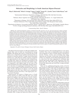 Molecules and Morphology in South American Stipeae (Poaceae)