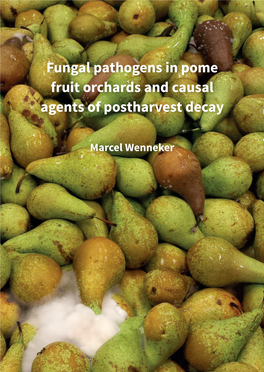 Fungal Pathogens in Pome Fruit Orchards and Causal Agents of Postharvest Decay Marcel Wenneker