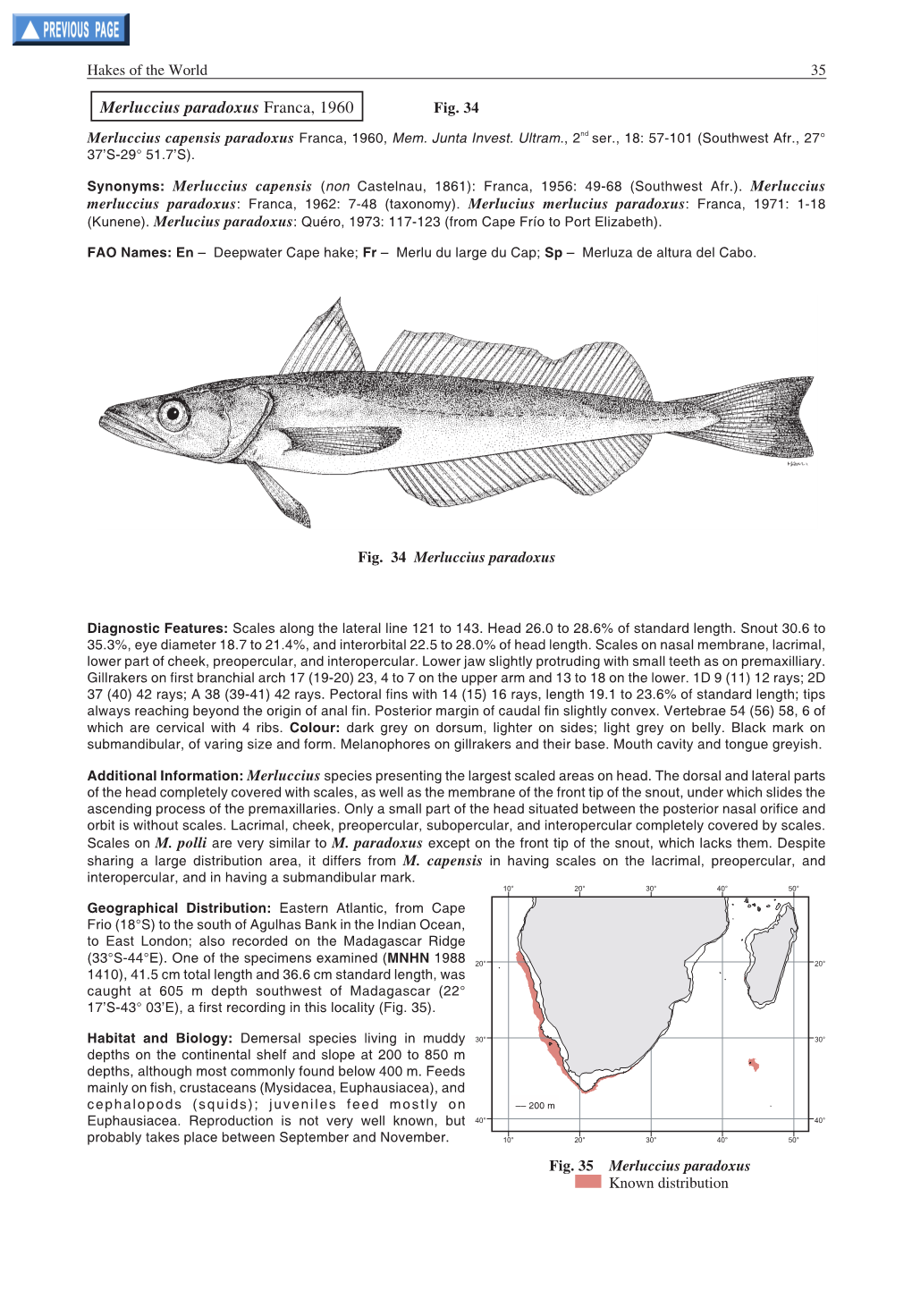 Merluccius Paradoxus Franca, 1960 Fig