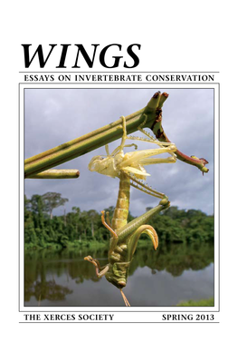 Essays on Invertebrate Conservation