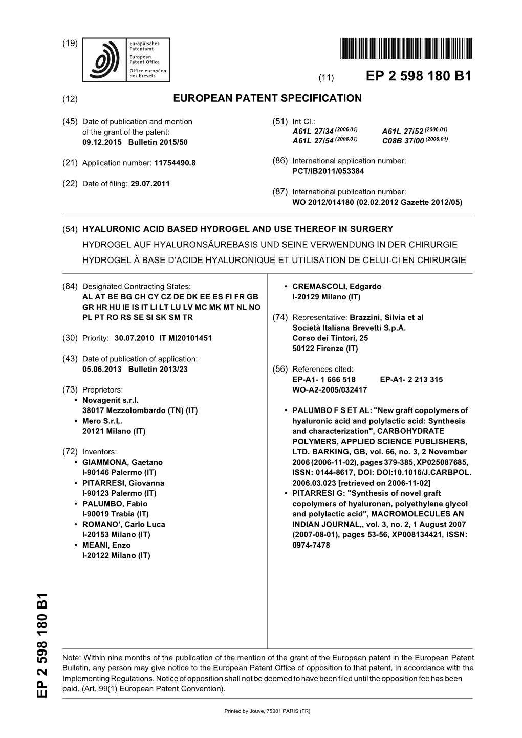 Hyaluronic Acid Based Hydrogel and Use Thereof