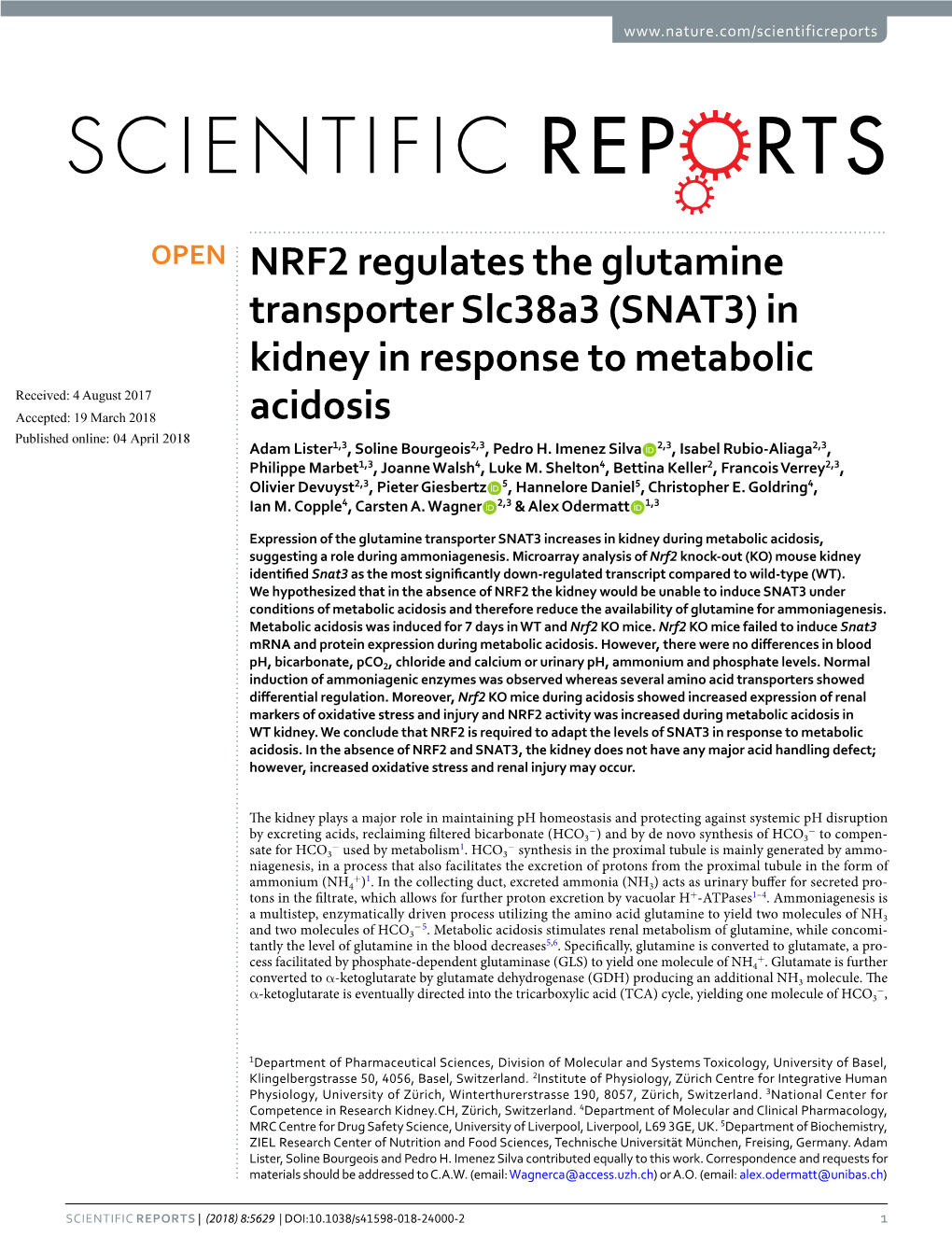 NRF2 Regulates the Glutamine Transporter Slc38a3 (SNAT3)