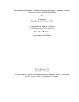 Uvic Thesis Template