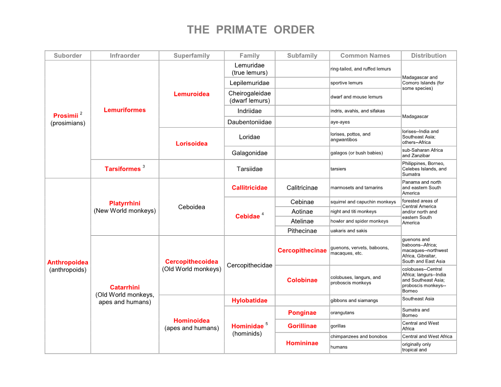 The Primate Order