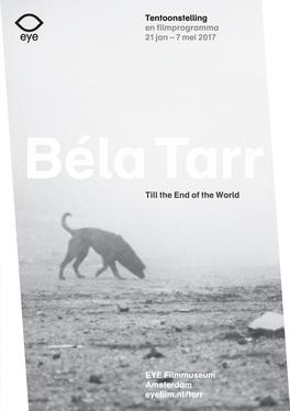 Download Brochure Over Béla Tarr (Pdf)