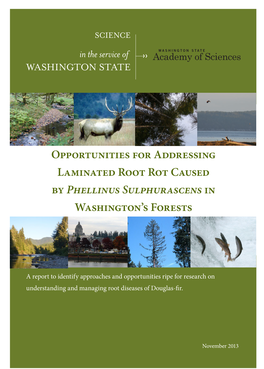 Opportunities for Addressing Laminated Root Rot Caused by Phellinus Sulphurascens in Washington’S Forests