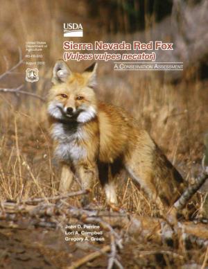 Sierra Nevada Red Fox (Vulpes Vulpes Necator): a Conservation Assessment