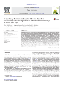 Effects of Chrysolaminarin Synthase Knockdown in the Diatom Thalassiosira Pseudonana: Implications of Reduced Carbohydrate Storage Relative to Green Algae