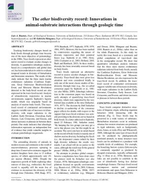 Innovations in Animal-Substrate Interactions Through Geologic Time